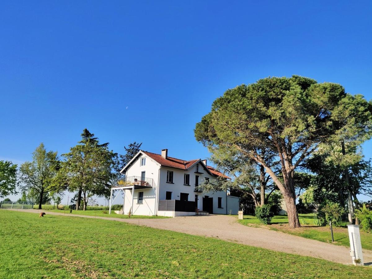 Le Cottage Duo Vigne Rouge Sauna Gaillac Entre Albi-Toulouse & Les Cottages Du Tarn Brens  Eksteriør billede